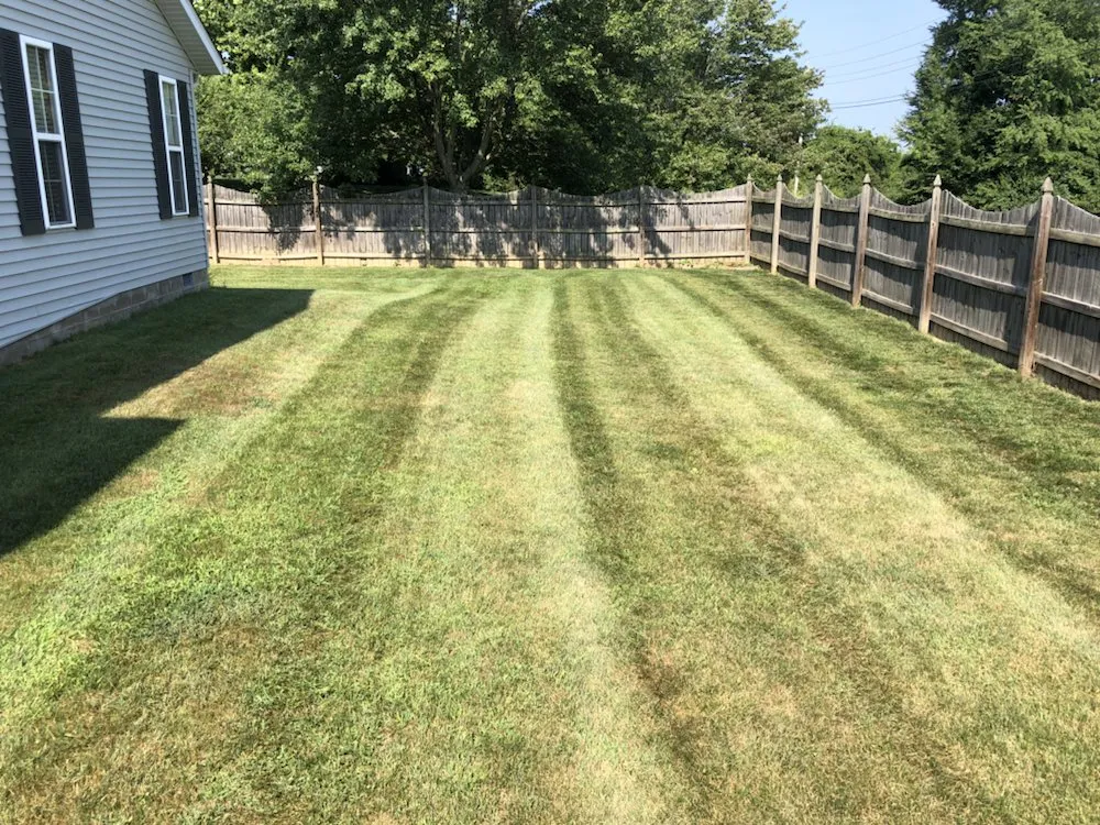 Custom landscape installation for outdoor upgrades in Bloomington, IN by DeWitt Property Service