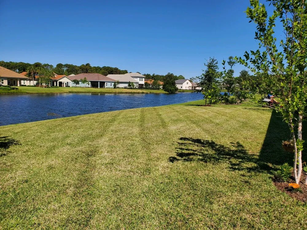 Top-rated yard cleanup service with custom design across St. Augustine, FL - Dewitts Landscaping and Irrigation