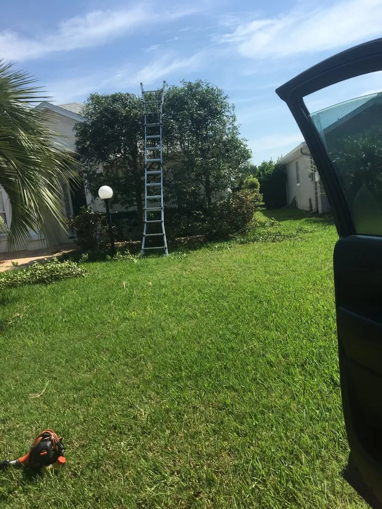 Custom yard maintenance in St. Augustine, FL by Dewitts Landscaping and Irrigation
