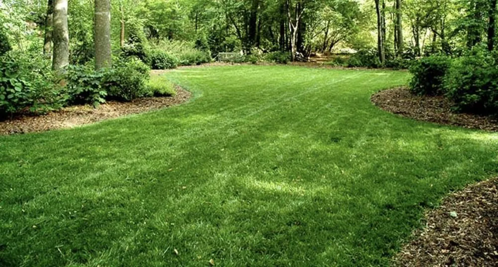 Local residential landscaping for beautiful yards in Muskegon, MI by DeWolfe Lawn Care