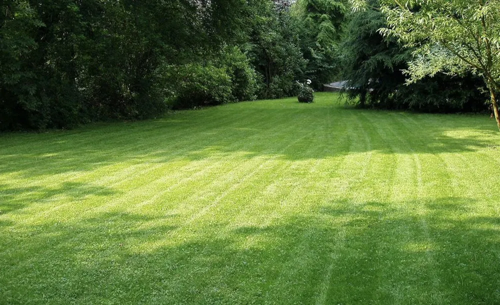 Professional residential landscaping in Muskegon, MI - DeWolfe Lawn Care