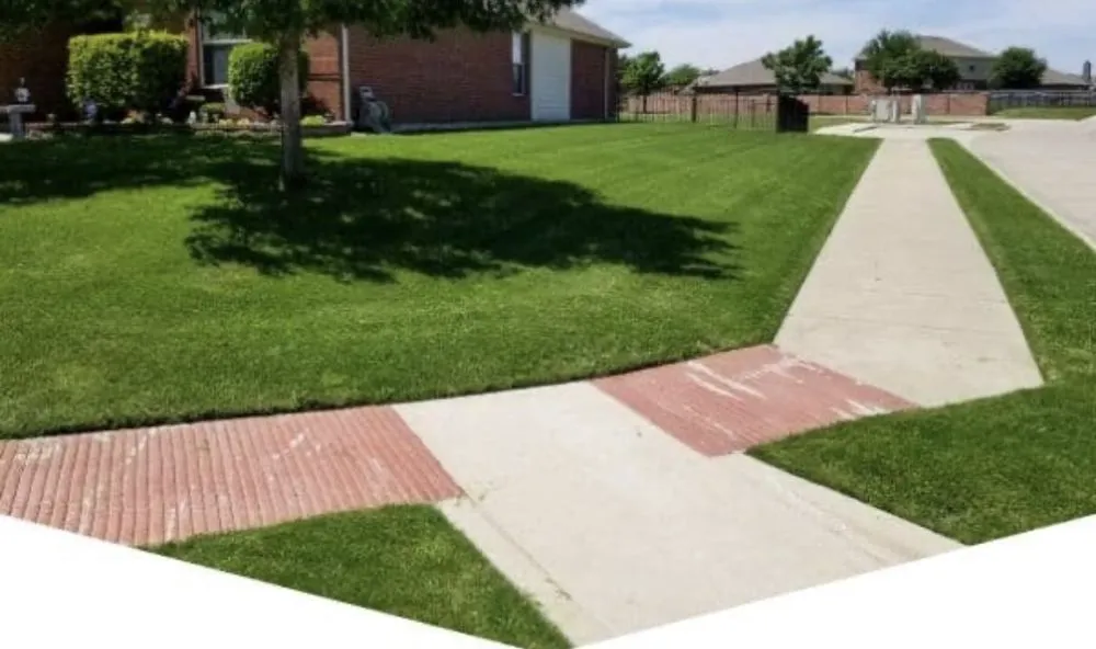 Professional yard cleanup service in Muskegon, MI - DeWolfe Lawn Care