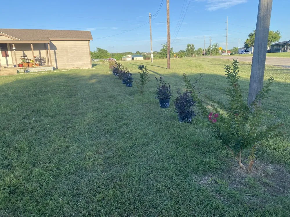 Affordable residential landscaping in Alvarado, TX by Dew’s Helping Hands