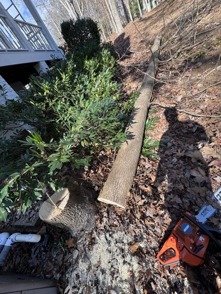 Top-rated landscape design for outdoor upgrades across Ellenwood, GA - Dexters Lab Maintenance Service