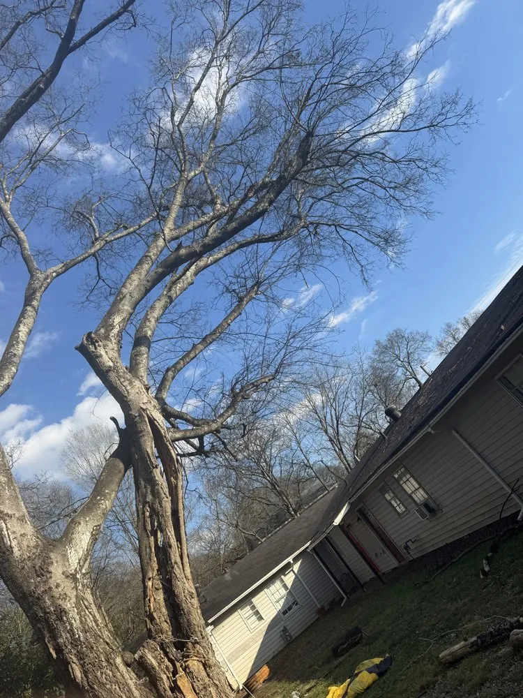 Reliable residential landscaping experts serving Ellenwood, GA - Dexters Lab Maintenance Service