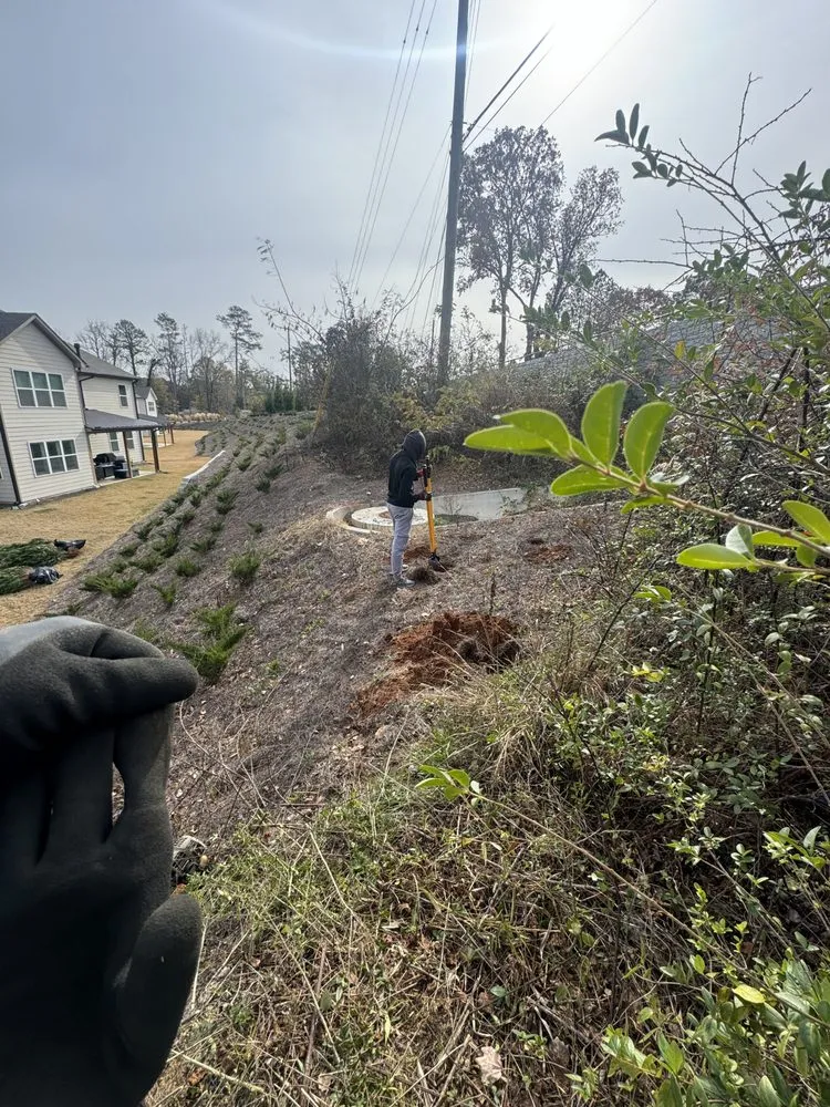 Top-rated residential landscaping experts serving Ellenwood, GA - Dexters Lab Maintenance Service