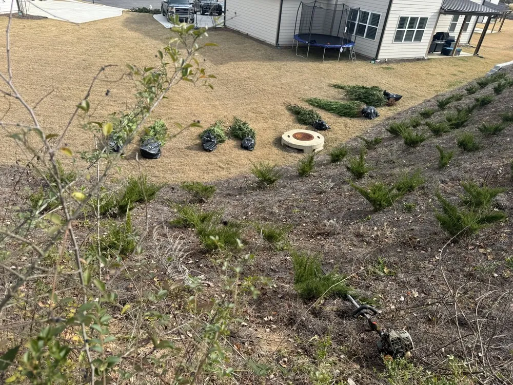 Custom landscape design in Ellenwood, GA by Dexters Lab Maintenance Service
