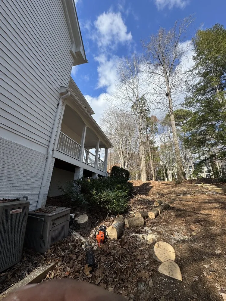 Reliable residential landscaping experts serving Ellenwood, GA - Dexters Lab Maintenance Service