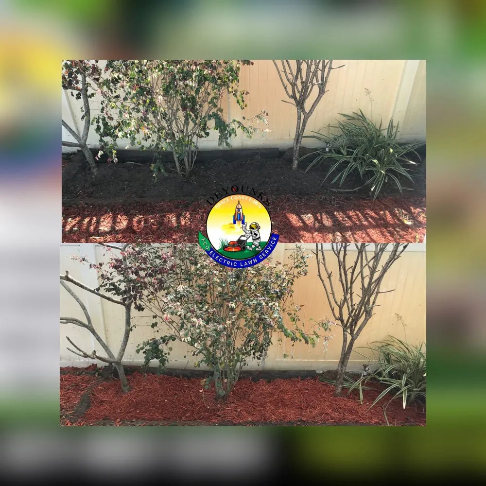 Reliable landscape design experts serving Titusville, FL - Deyounks Space Coast Lawn - ElectricCare