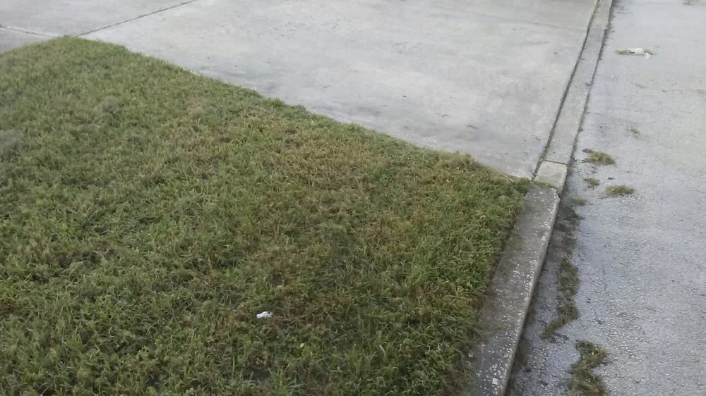 Local garden landscaping in Orlando, FL - Dez Lawn Care Services