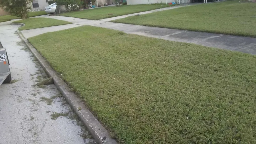 Affordable garden landscaping for year-round maintenance in Orlando, FL by Dez Lawn Care Services