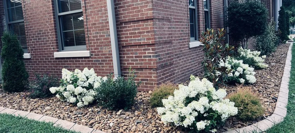 Reliable yard cleanup service experts serving Manchester, KY - Dezarn