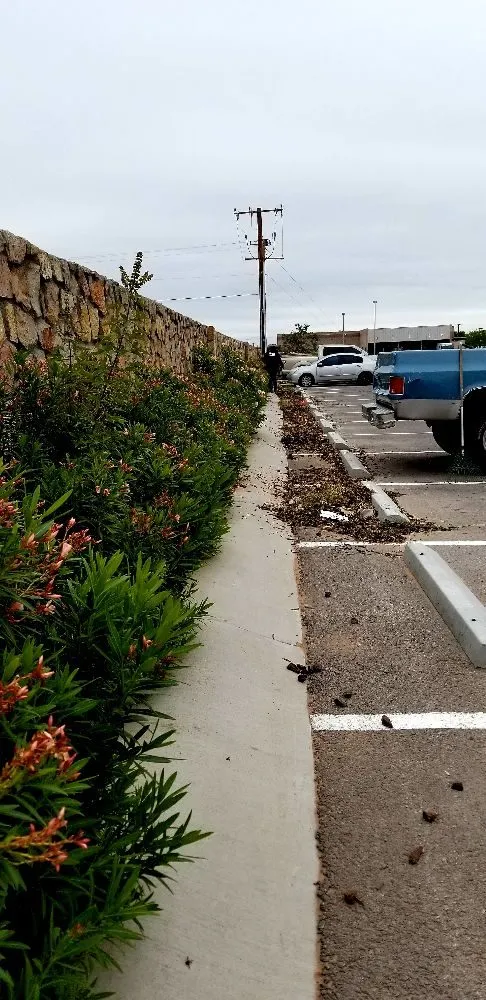 Local outdoor landscaping with custom design in El Paso, TX by Dezert Ratz Landscape & Fabrication