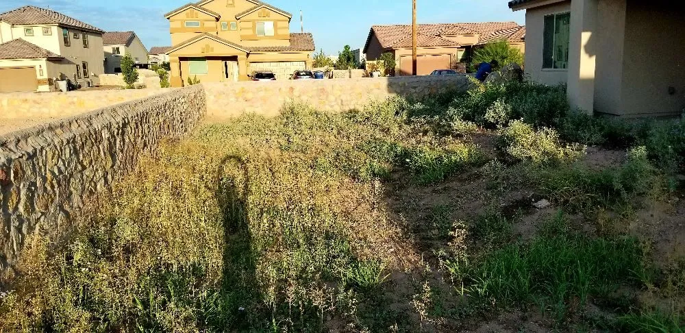 Expert lawn mowing service in El Paso, TX by Dezert Ratz Landscape & Fabrication