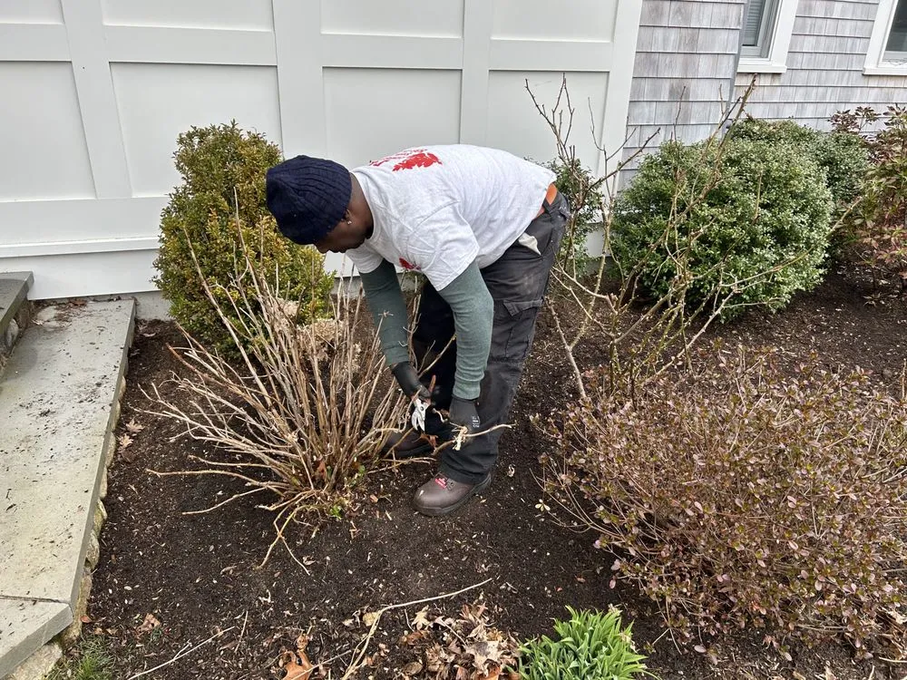 Top-rated yard cleanup service in Barnstable, MA - DF Landscaping