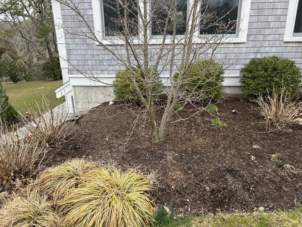 Professional residential landscaping experts serving Barnstable, MA - DF Landscaping