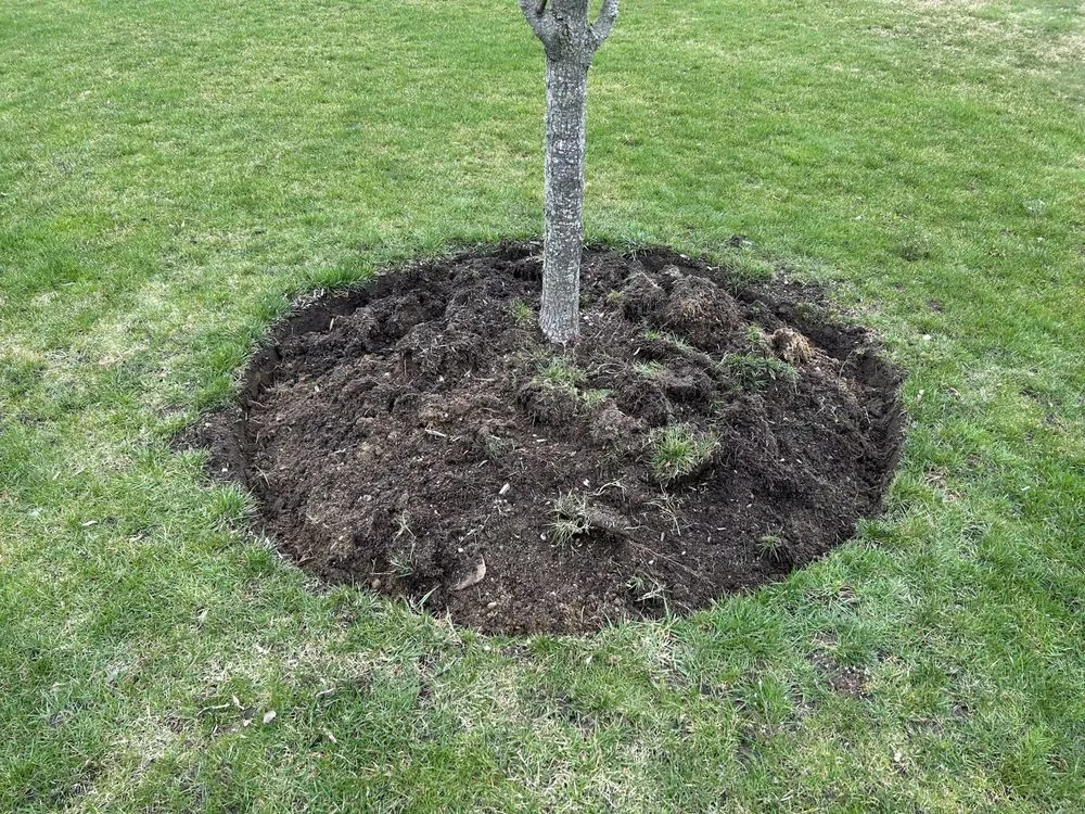 Custom lawn care service in Barnstable, MA - DF Landscaping