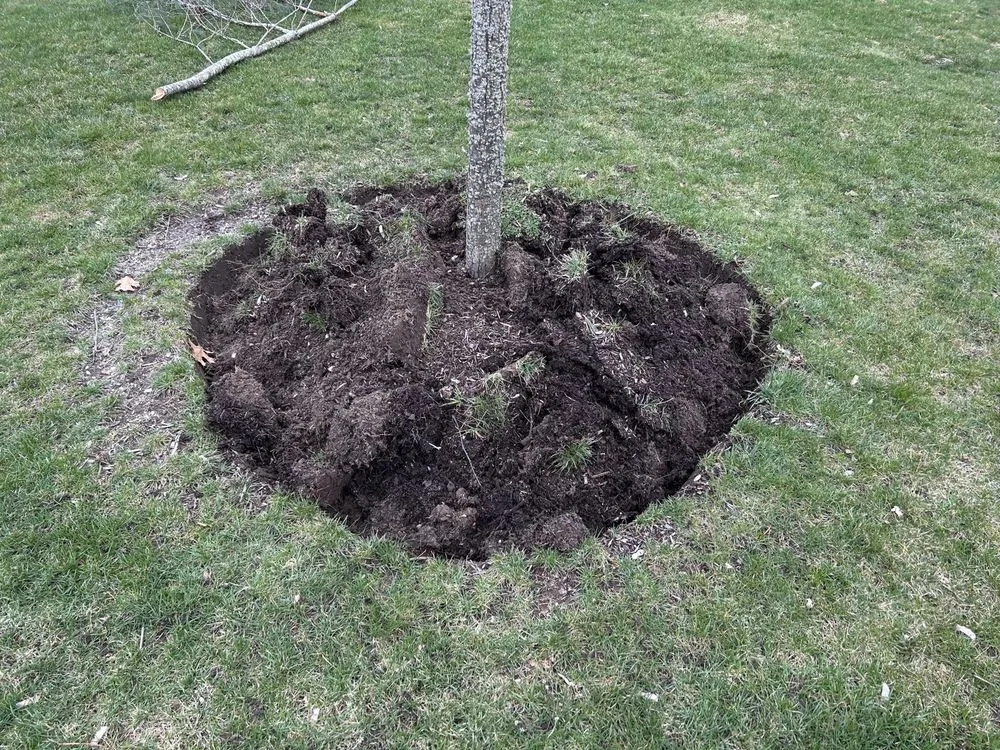 Custom landscaping services in Barnstable, MA - DF Landscaping