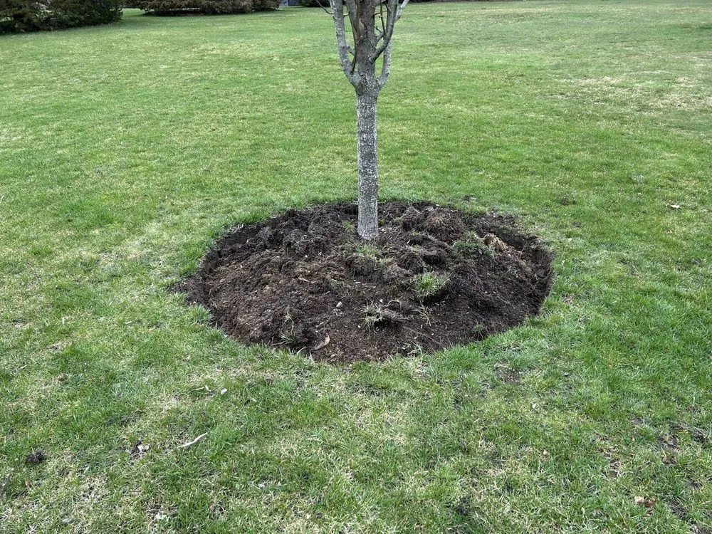 Custom landscape installation for year-round maintenance in Barnstable, MA by DF Landscaping