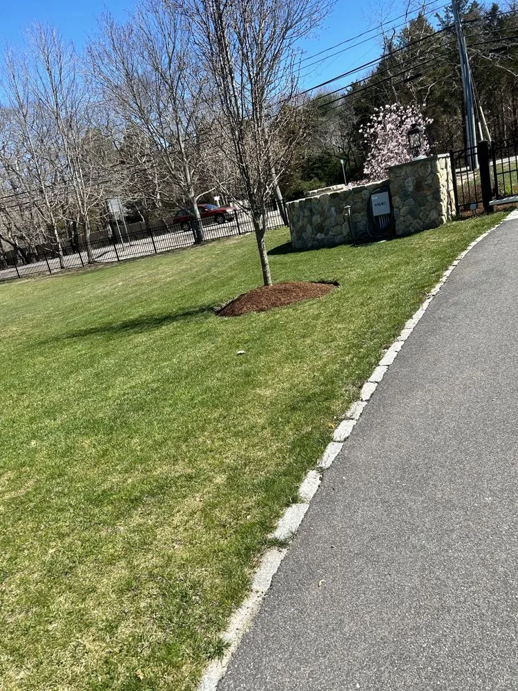 Professional yard maintenance for homes across Barnstable, MA - DF Landscaping