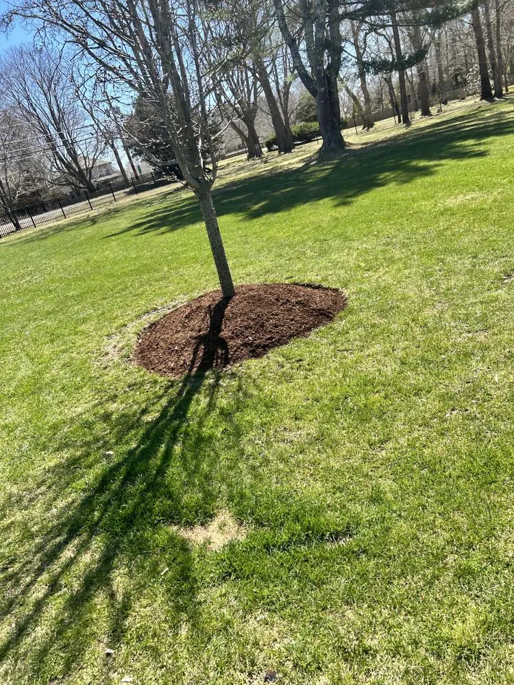 Expert garden landscaping experts serving Barnstable, MA - DF Landscaping