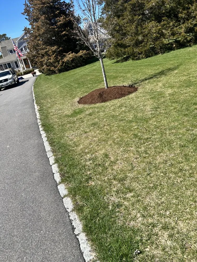 Top-rated landscaping services experts serving Barnstable, MA - DF Landscaping