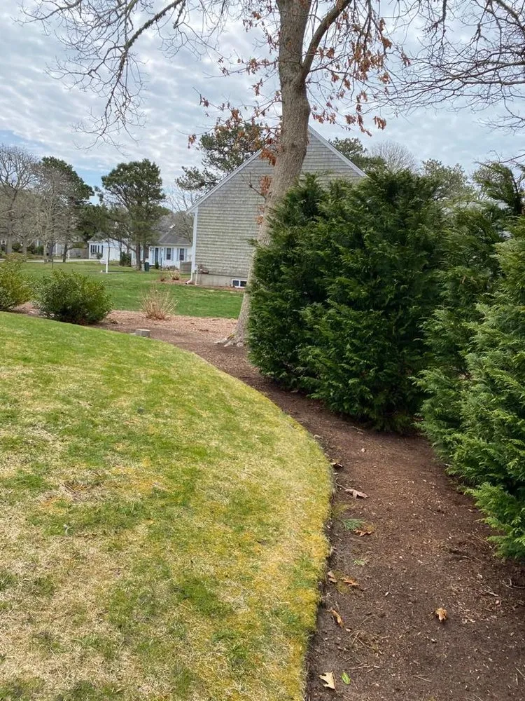 Trusted yard cleanup service for homes across Barnstable, MA - DF Landscaping