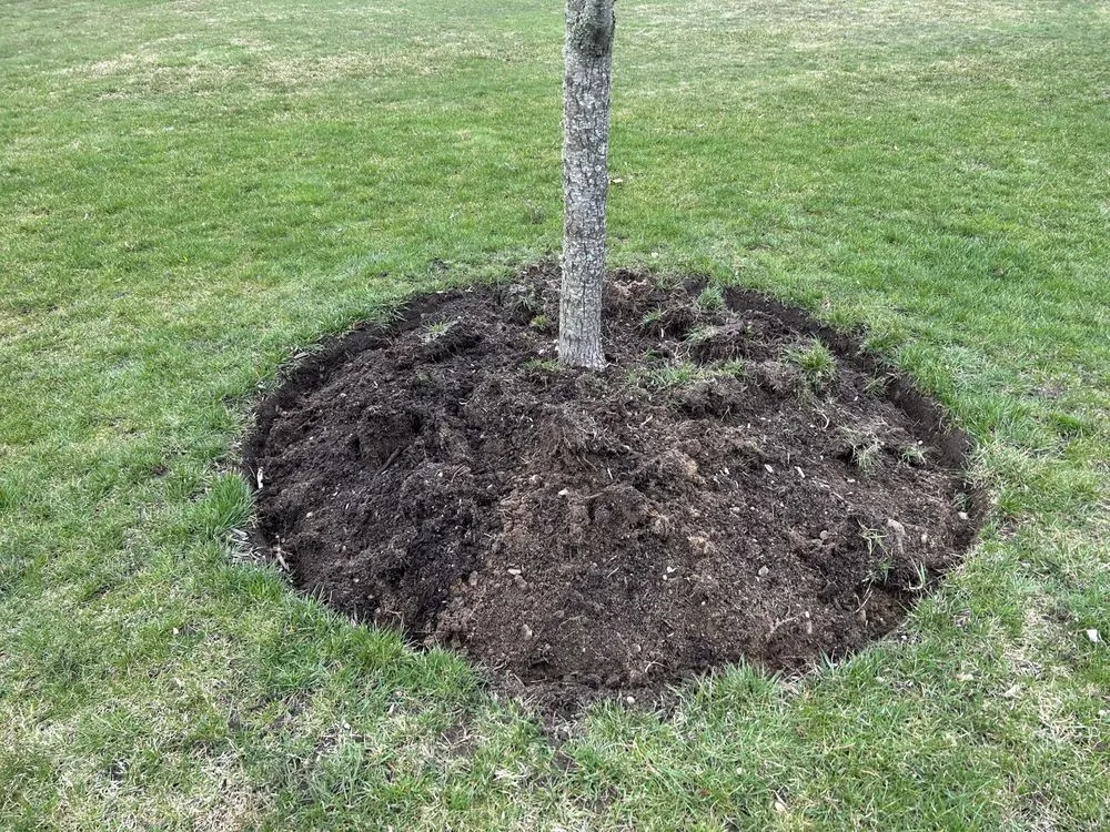 Affordable residential landscaping in Barnstable, MA by DF Landscaping