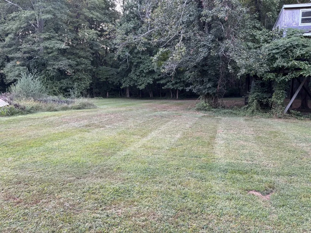 Affordable lawn care service near you across Townsend, DE - DF Landscaping Solutions