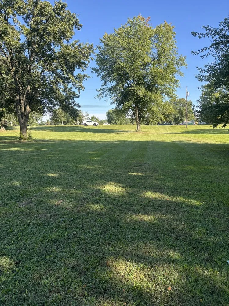 Professional yard cleanup service for outdoor upgrades in Townsend, DE by DF Landscaping Solutions