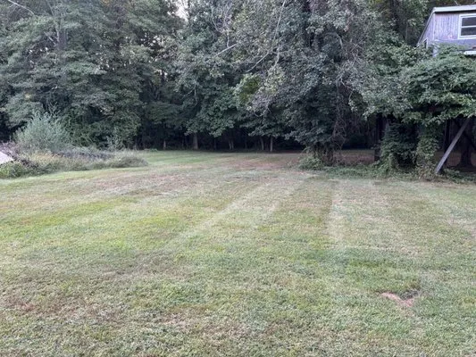 DF Landscaping Solutions