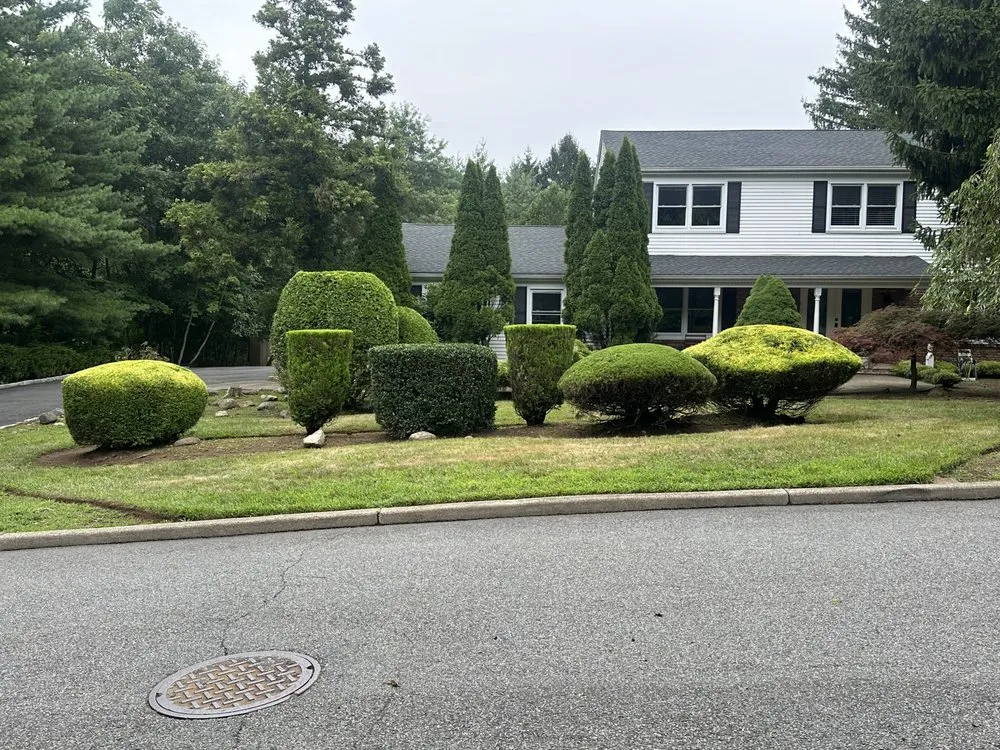 Reliable landscape installation for year-round maintenance in Westwood, NJ by D&F Landscaping