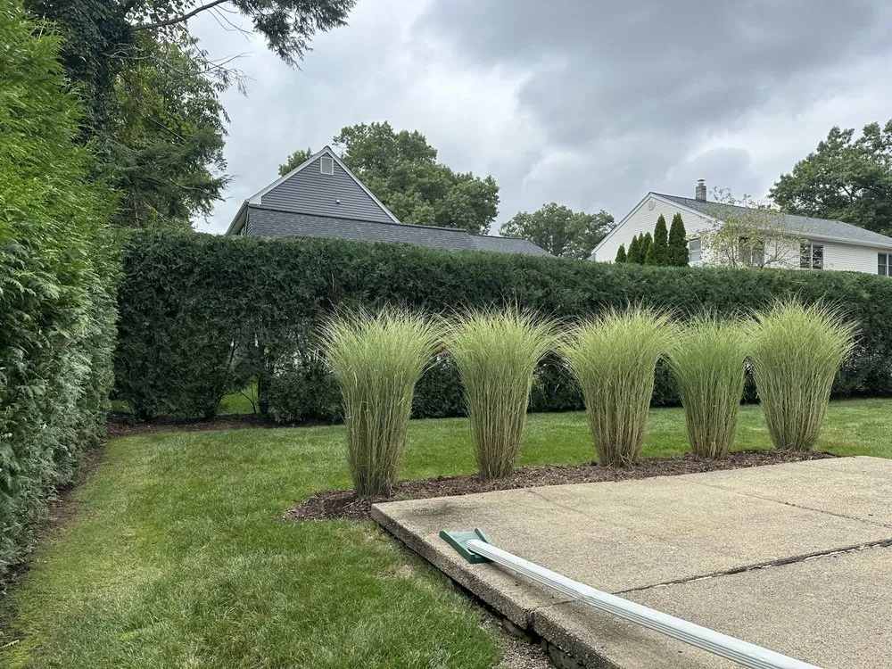 Affordable lawn care service for outdoor upgrades in Westwood, NJ by D&F Landscaping