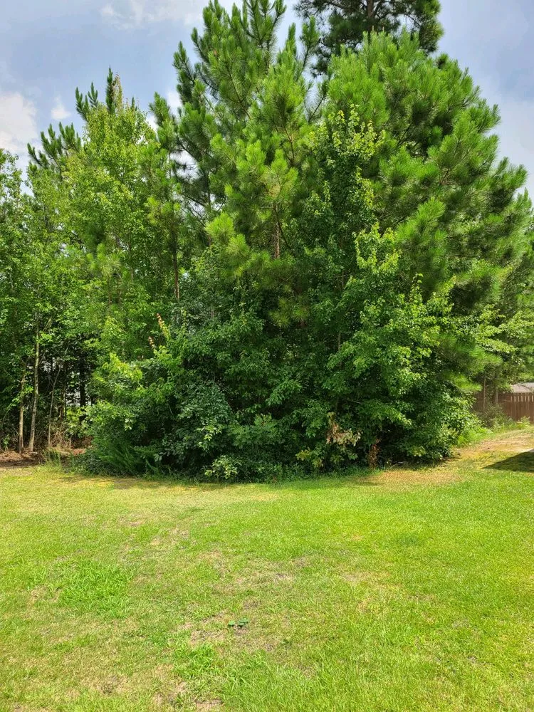Affordable lawn care service experts serving Godwin, NC - DFC Industries