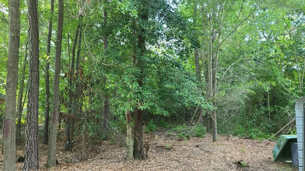 Custom yard maintenance in Godwin, NC by DFC Industries