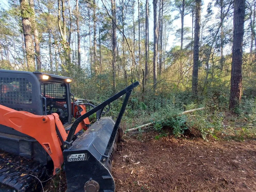 Affordable yard cleanup service in Godwin, NC by DFC Industries