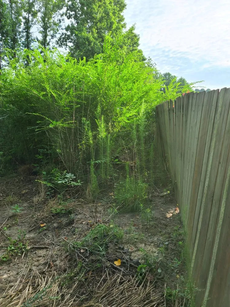 Affordable landscape design experts serving Godwin, NC - DFC Industries