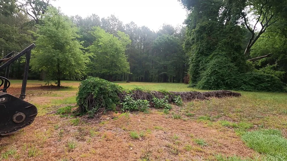 Local landscaping services experts serving Godwin, NC - DFC Industries