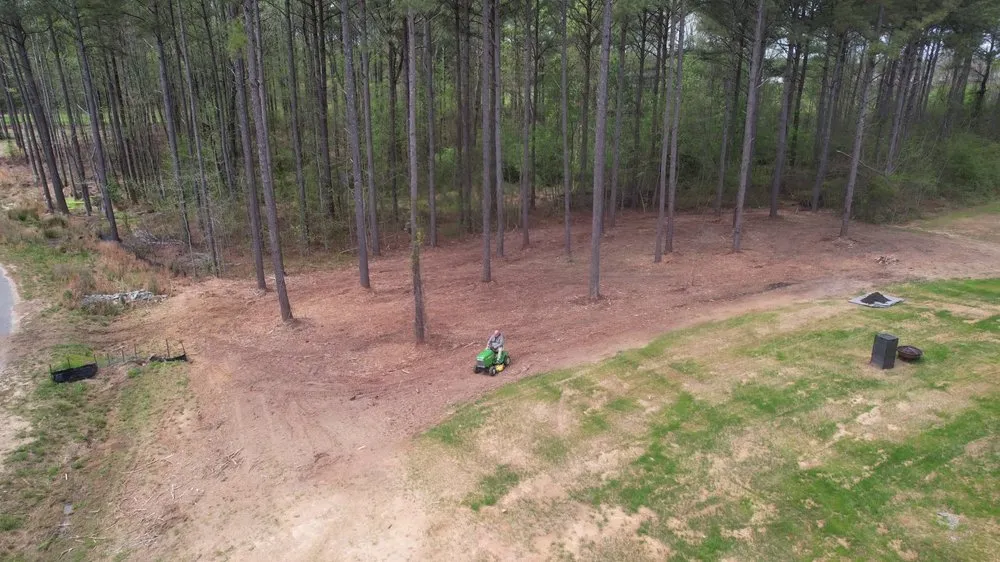 Reliable yard cleanup service experts serving Godwin, NC - DFC Industries