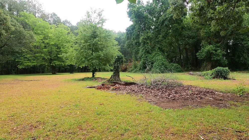 Reliable yard cleanup service for homes in Godwin, NC by DFC Industries
