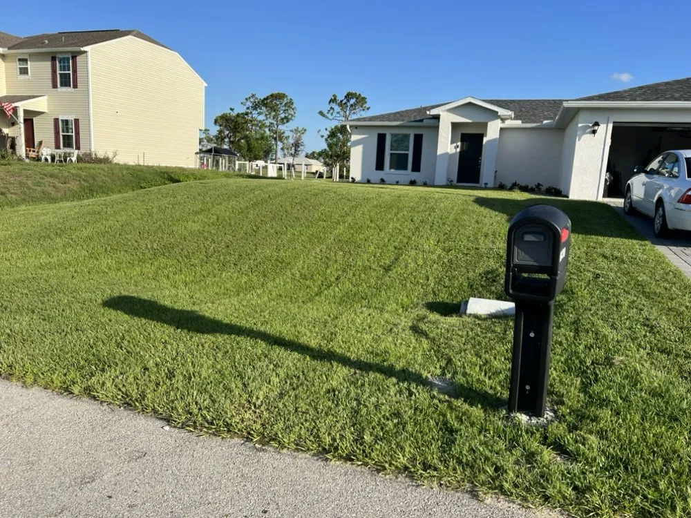 Professional yard cleanup service in Cape Coral, FL by Dfermins Lawn Care