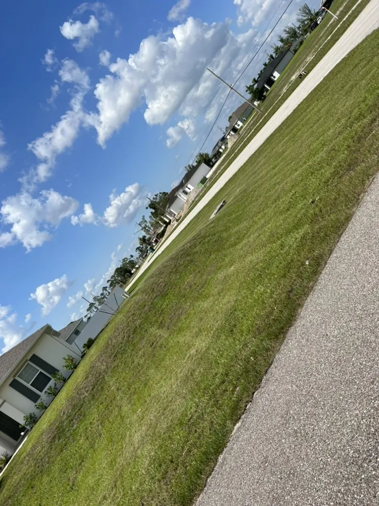 Affordable outdoor landscaping in Cape Coral, FL - Dfermins Lawn Care