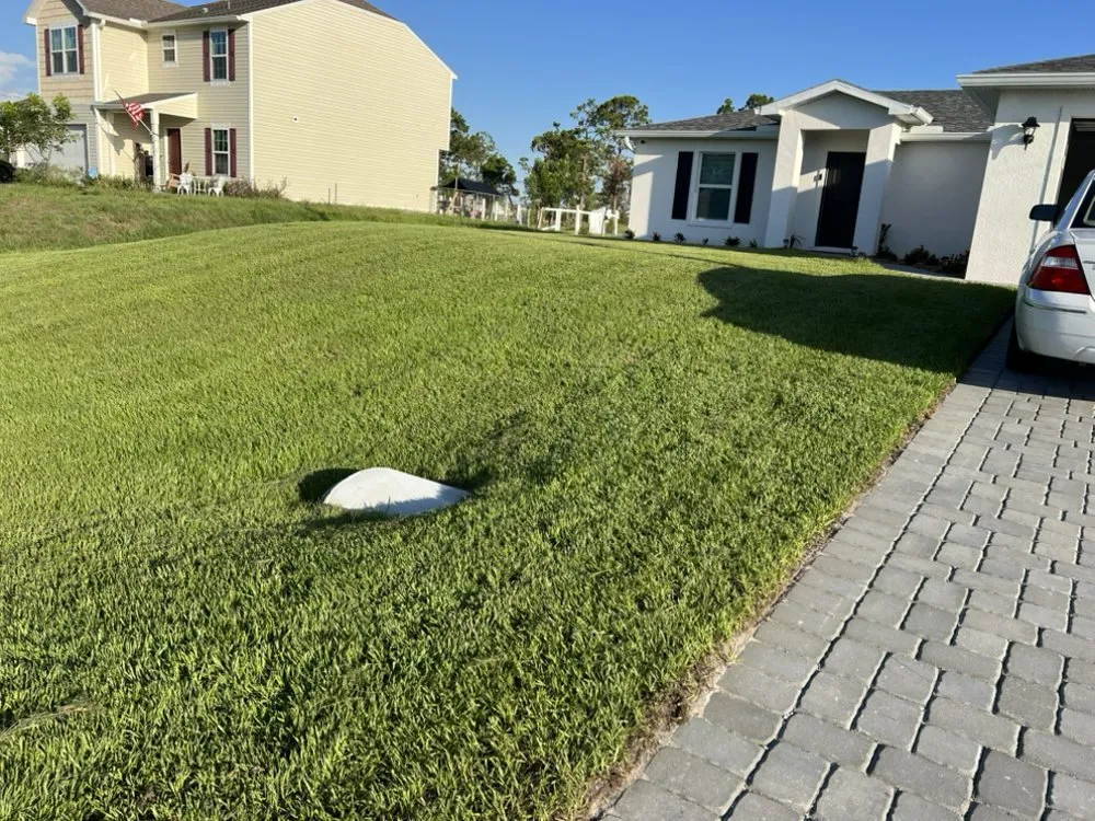 Professional yard cleanup service in Cape Coral, FL by Dfermins Lawn Care