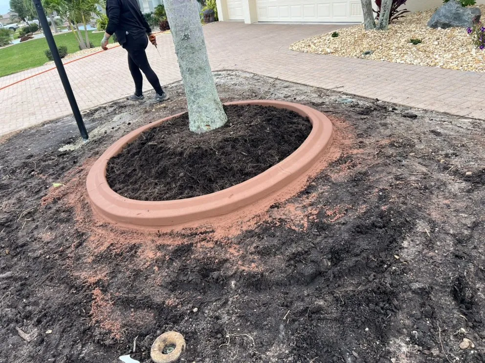 Custom residential landscaping for outdoor upgrades in Cape Coral, FL by Dfermins Lawn Care