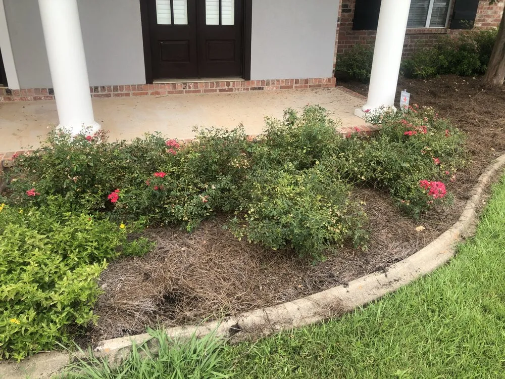 Expert residential landscaping in Pineville, LA - DFG Landscaping