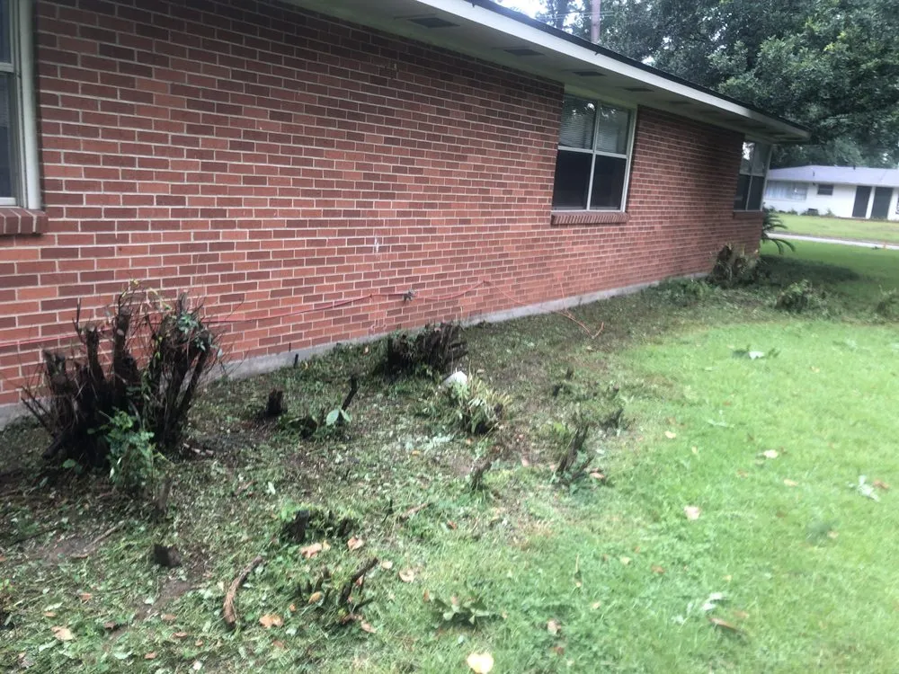 Reliable yard maintenance in Pineville, LA by DFG Landscaping