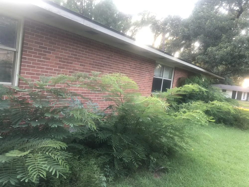 Reliable residential landscaping in Pineville, LA by DFG Landscaping