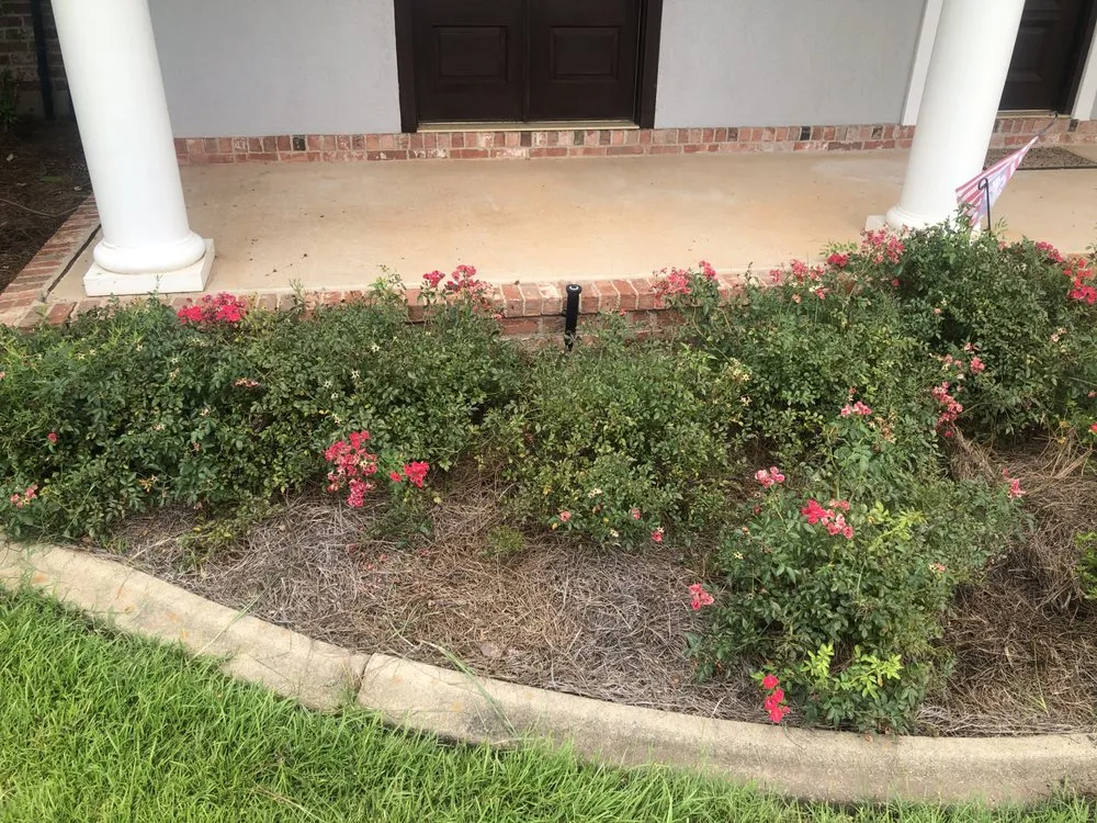 Affordable yard cleanup service for homes across Pineville, LA - DFG Landscaping