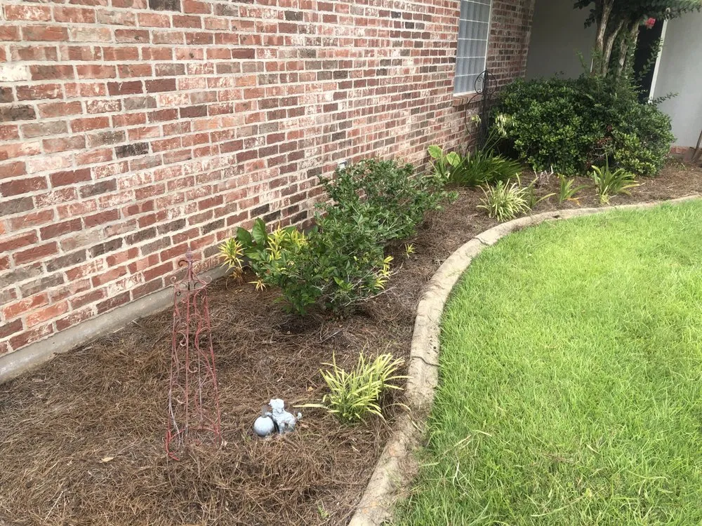 Affordable outdoor landscaping near you across Pineville, LA - DFG Landscaping