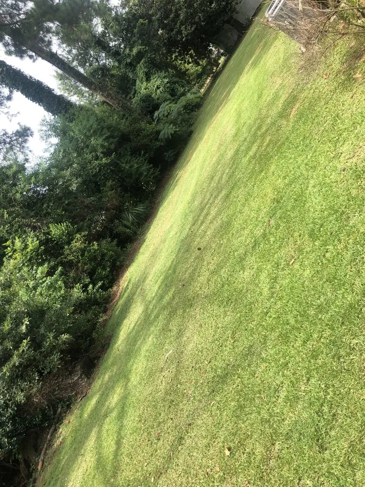 Affordable landscaping services for homes across Pineville, LA - DFG Landscaping